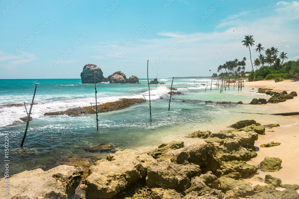 Nature of Asia: Sri Lanka. Sunny ocean beach.