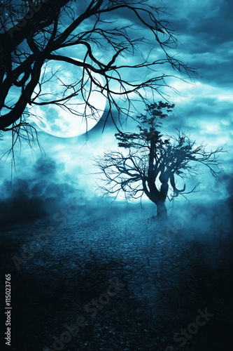 Mystical Moon Night. Spooky Tree Silhouette