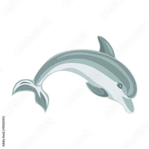 Jumping dolphin on a white background