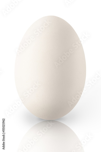 Single white chicken egg with reflection