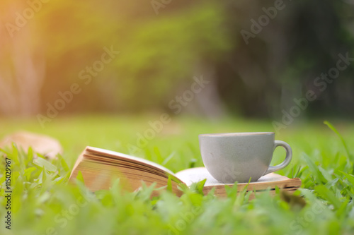 Fototapeta Naklejka Na Ścianę i Meble -  coffee cup and books in the green grass in summer sunlight park
