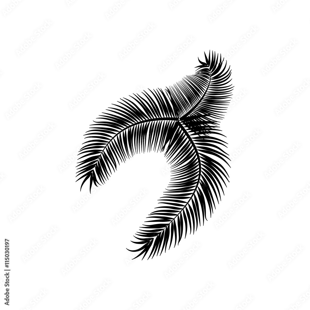 Leaves of palm tree icon. Black icon on white background.