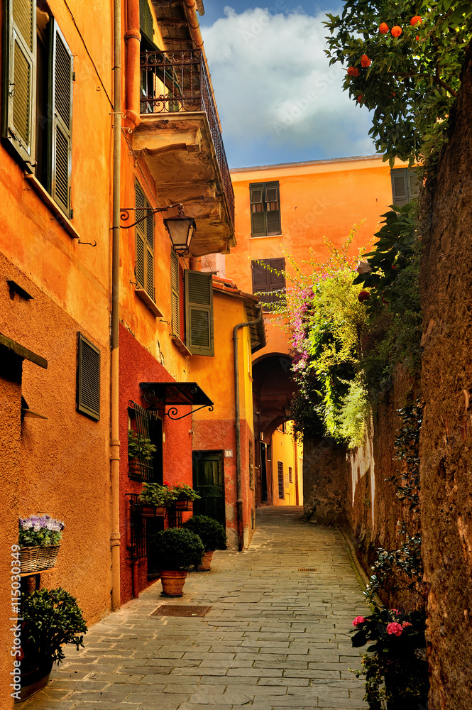 Narrow alley in the Portofino, Italy