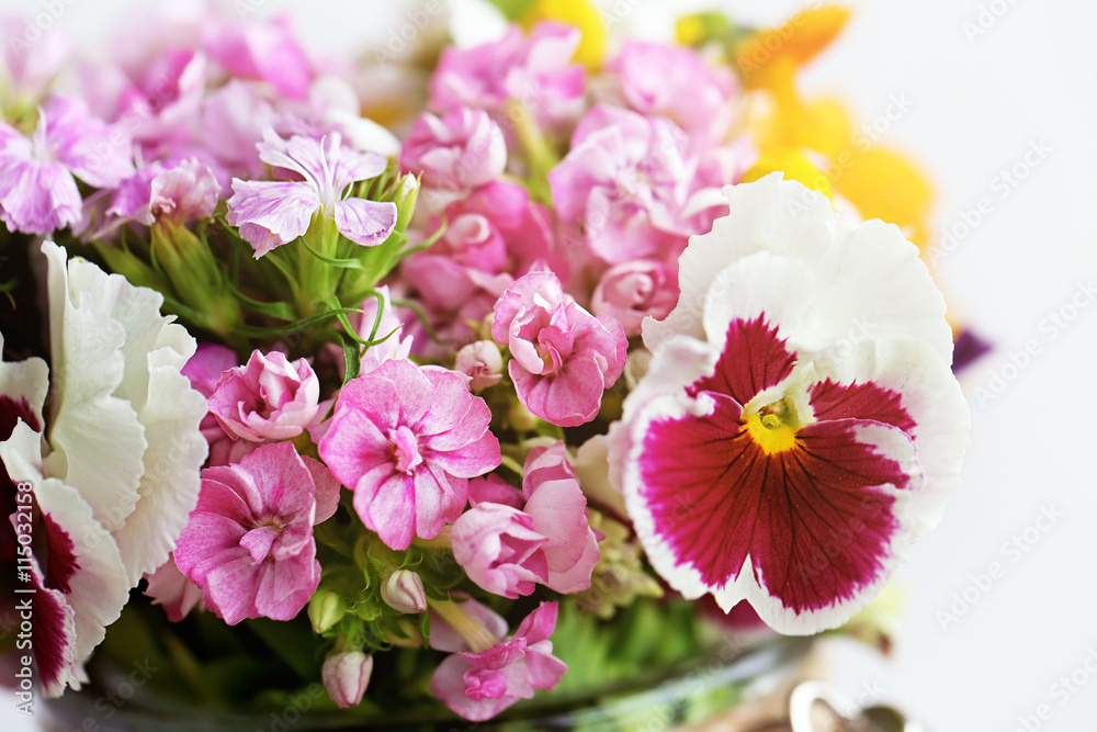 Fototapeta premium Beautiful meadow flowers, closeup