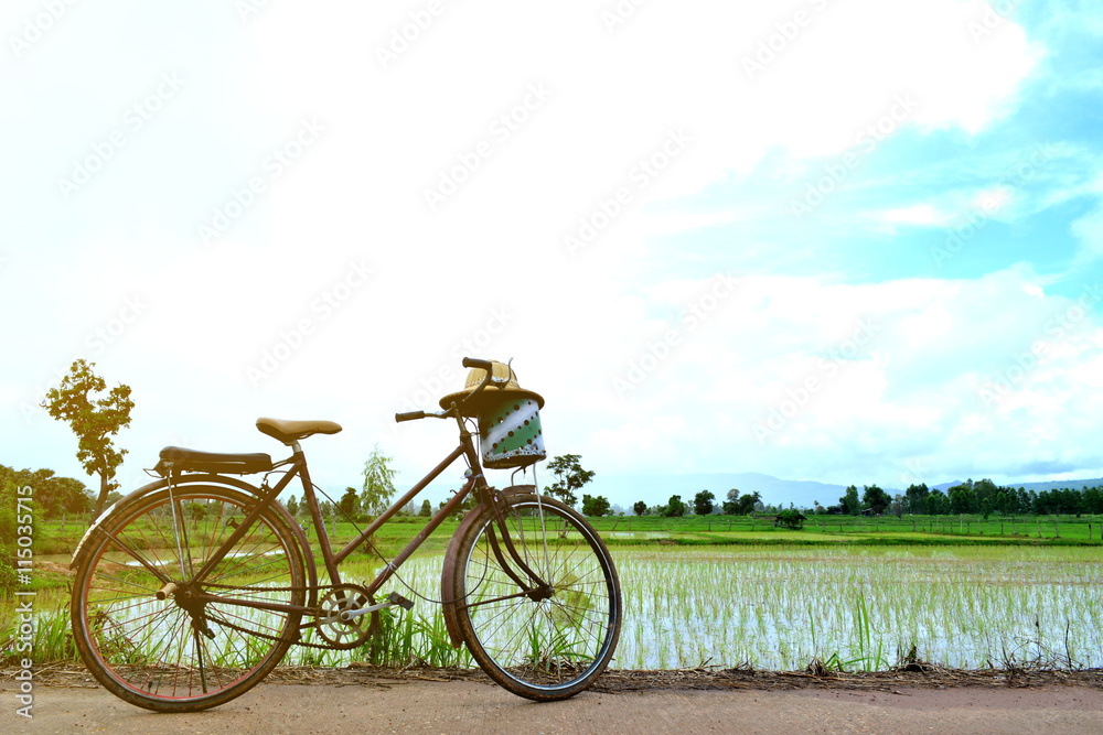 Bicycle on green field