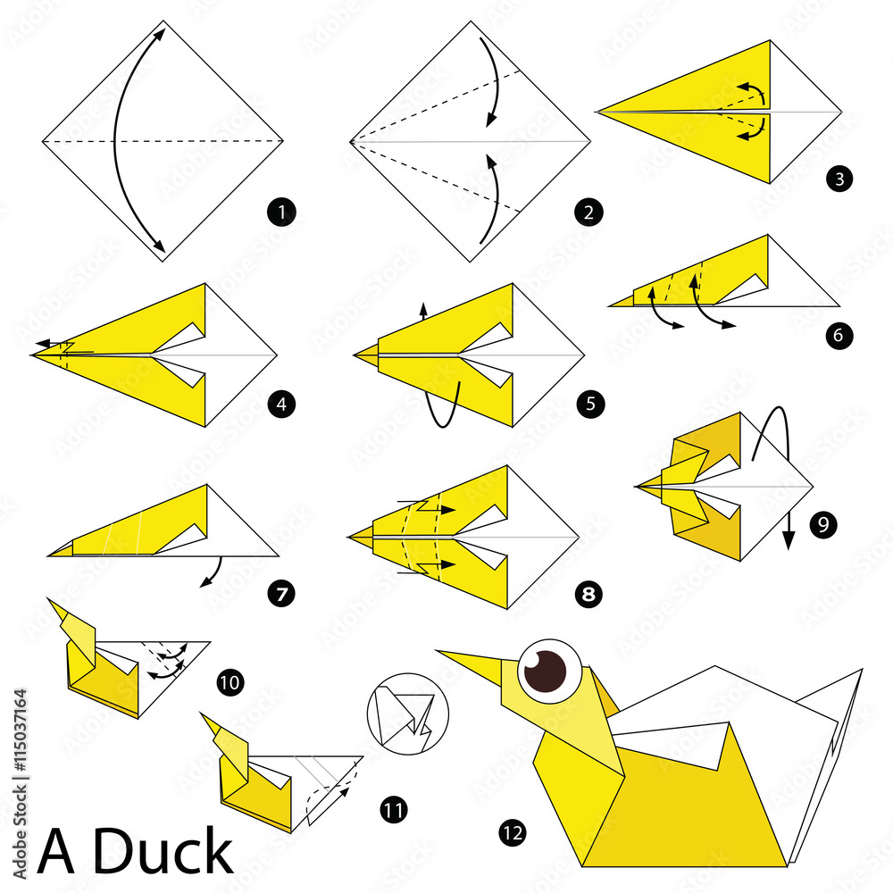 Step by step instructions how to make origami A Duck. Stock Vector