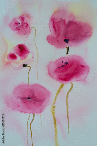 Modern pink poppy flowers, watercolor painting