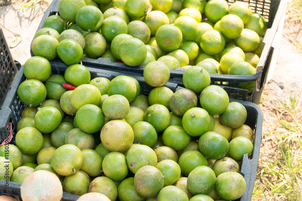 Fresh green lemons and limes for making juice