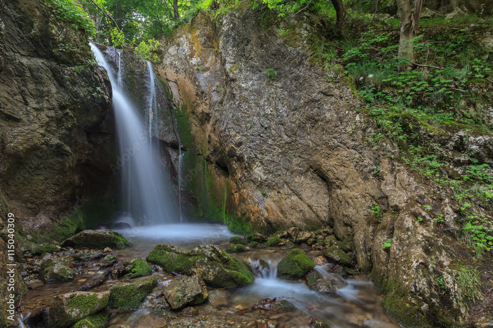 stream in Gorge Tasnei. Baile Herculane, Romania