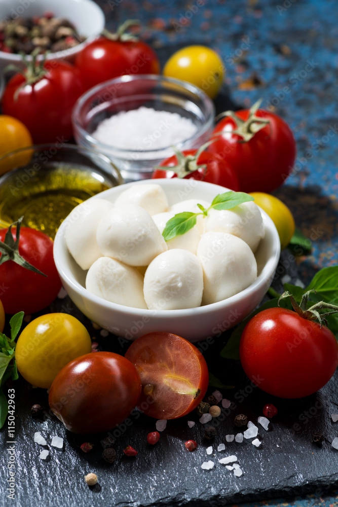 mozzarella, fresh vegetables and spices on a dark background mozzarella, fresh vegetables and spices on a dark background