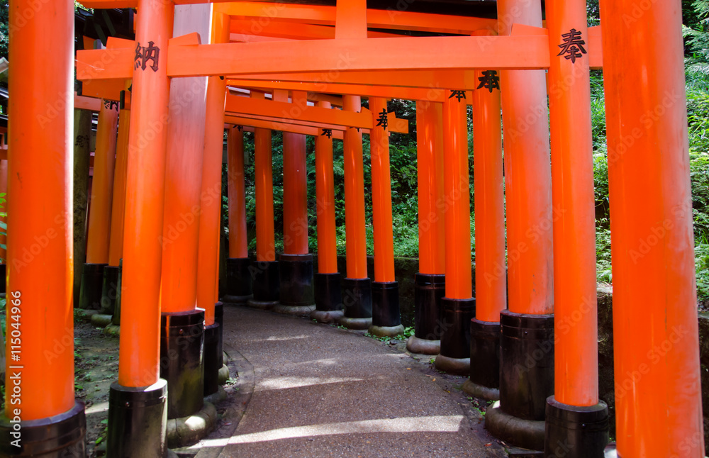 Red Tori Gate at Fushimi Inari Shrine in Kyoto, Japan Red Tori Gate at Fushimi Inari Shrine in Kyoto, Japan