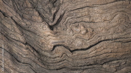 Wallpaper Mural Old wood texture Torontodigital.ca