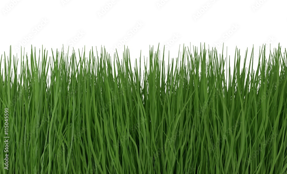 Green grass isolated on white 3d illustration Green grass isolated on white 3d illustration