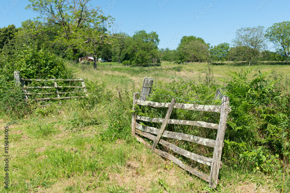 Agriculture landscape with fence