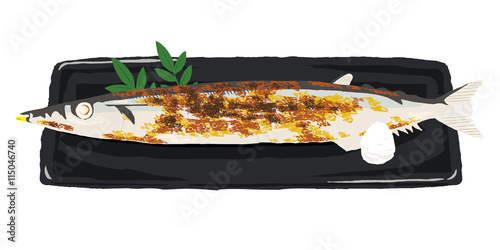 Pacific saury
