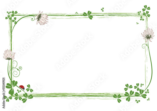 frame with flowers of clover and ladybird