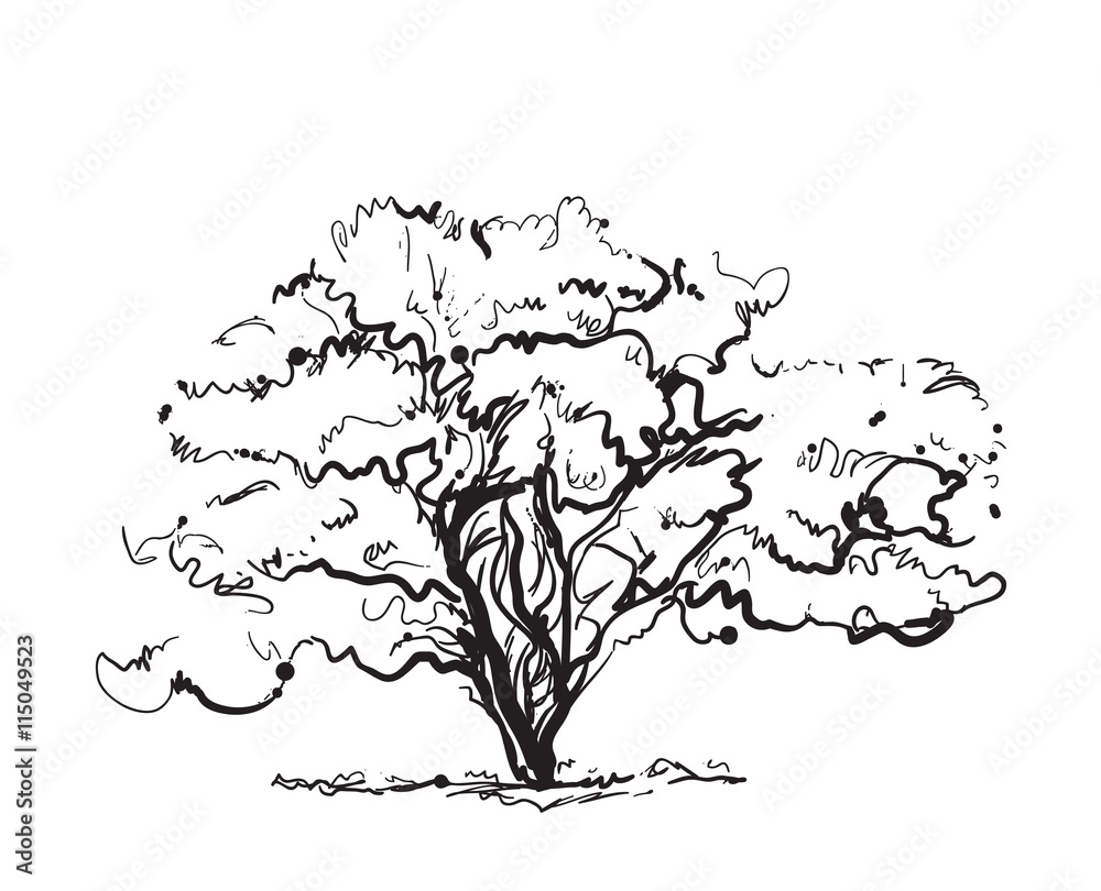 Hand drawn tree