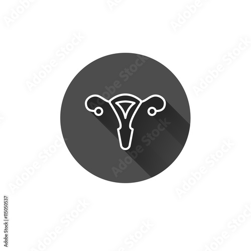 Vector uterus flat long shadow icon