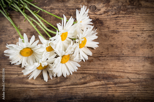 chamomile flowers on wooden background © Sergiy Bykhunenko