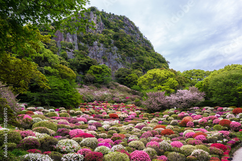 mifuneyama rakuen 佐賀県 御船山楽園