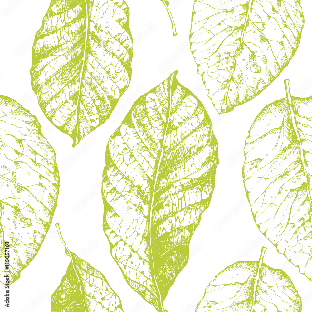 Obraz premium Seamless with leaves pattern on white background. 