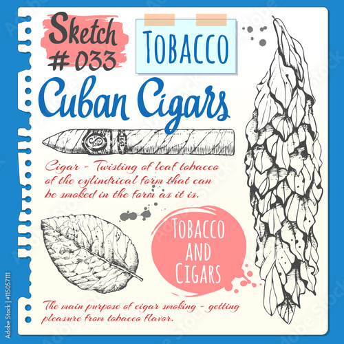 Sketchbook sheet with cuban cigar and tobacco leaves.