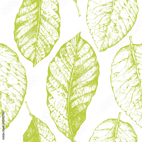 Seamless with leaves pattern on white background. 