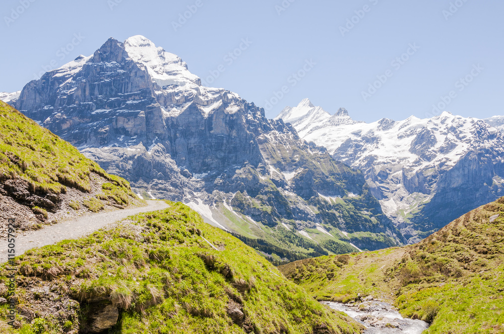 Grindelwald, Berner Oberland, Grosse Scheidegg, Wetterhorn, Schreckhorn, Alpen, Wanderweg, Höhenweg, First, Sommer, Schweiz