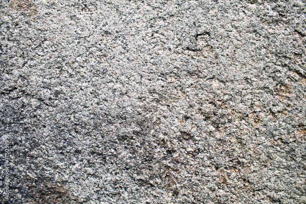 Rough Concrete Texture
