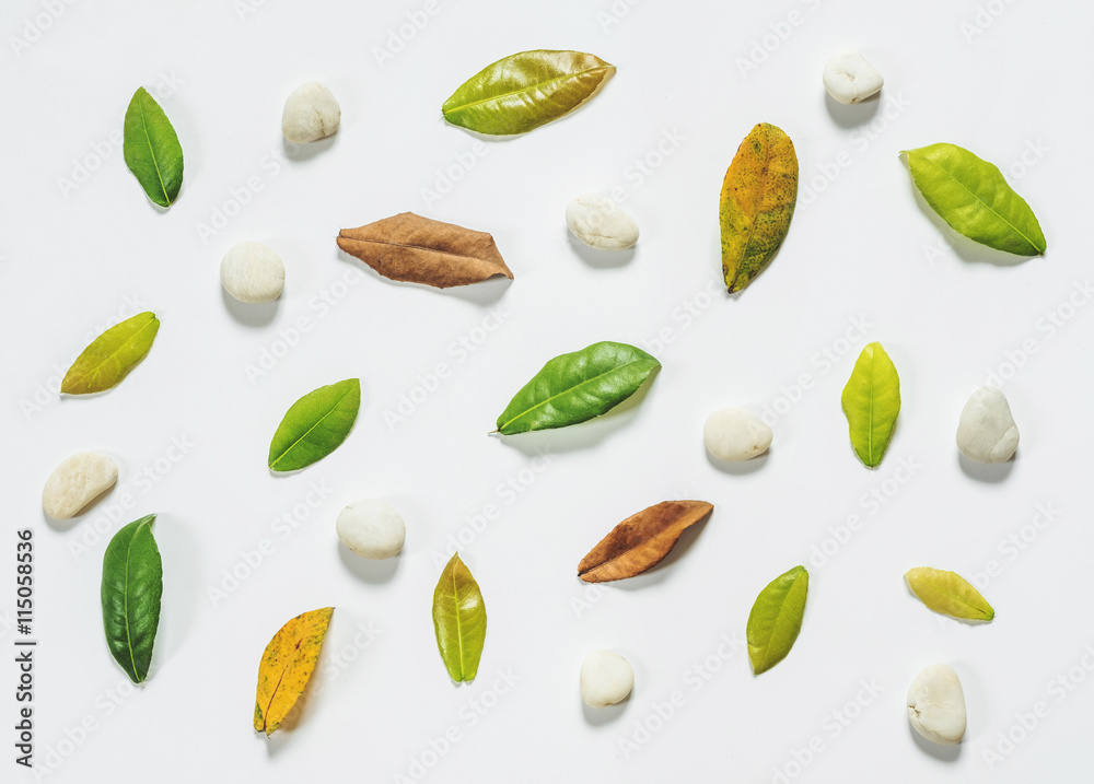 Leaves and pebble stones wallpaper Leaves and pebble stones wallpaper