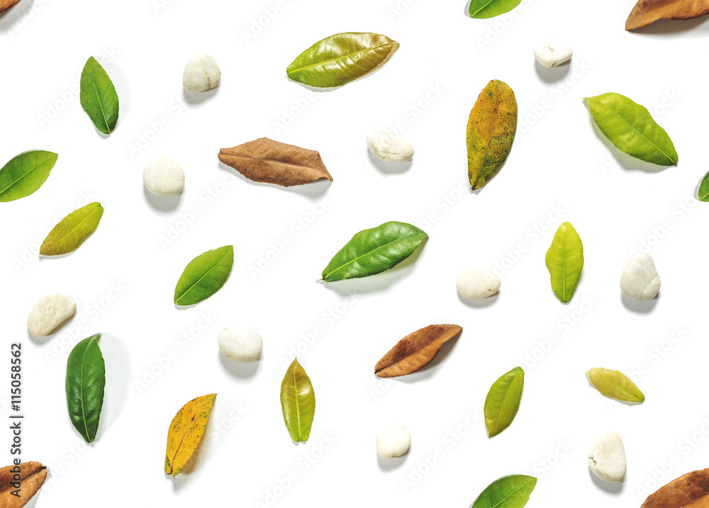 Seamless green and brown leaves with white pebble stone on white background Seamless green and brown leaves with white pebble stone on white background