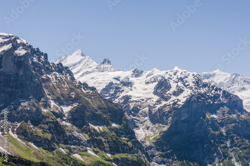 Grindelwald, Berner Oberland, Schreckhorn, Wetterhorn, Grosse Scheidegg, Höhenweg, First, Schreckfeld, Schweizer Berge, Sommer, Schweiz