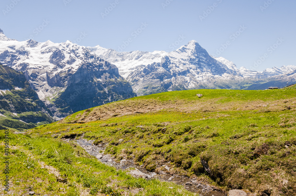 Grindelwald, Berner Oberland, Alpen, Eiger, Kleine Scheidegg, Schreckhorn, Schweizer Berge, First, Wanderweg,  Schreckfeld, Sommer, schweiz