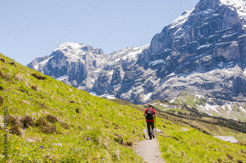 Grindelwald, Alpen, Berner Oberland, Wetterhorn, Grosse Scheidegg, Engelhörner, Wanderweg, First, Wanderer, Schweizer Berge, Sommer, Schweiz