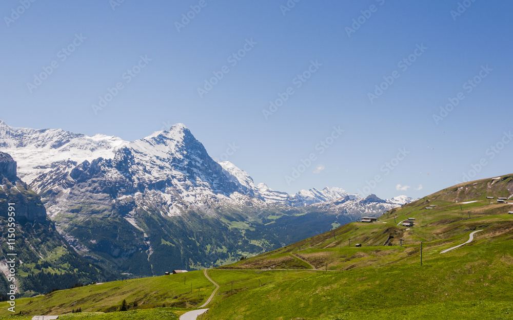 Grindelwald, Alpen, Berner Oberland, Kleine Scheidegg, Eiger, Eigernordwand, Lauberhorn, First, Schreckfeld, Wanderweg, Sommer, Schweiz