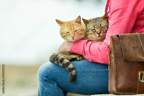 Fototapeta Naklejka Na Ścianę i Meble -  Two cats lying on lap of woman sitting in garden on stone wall.