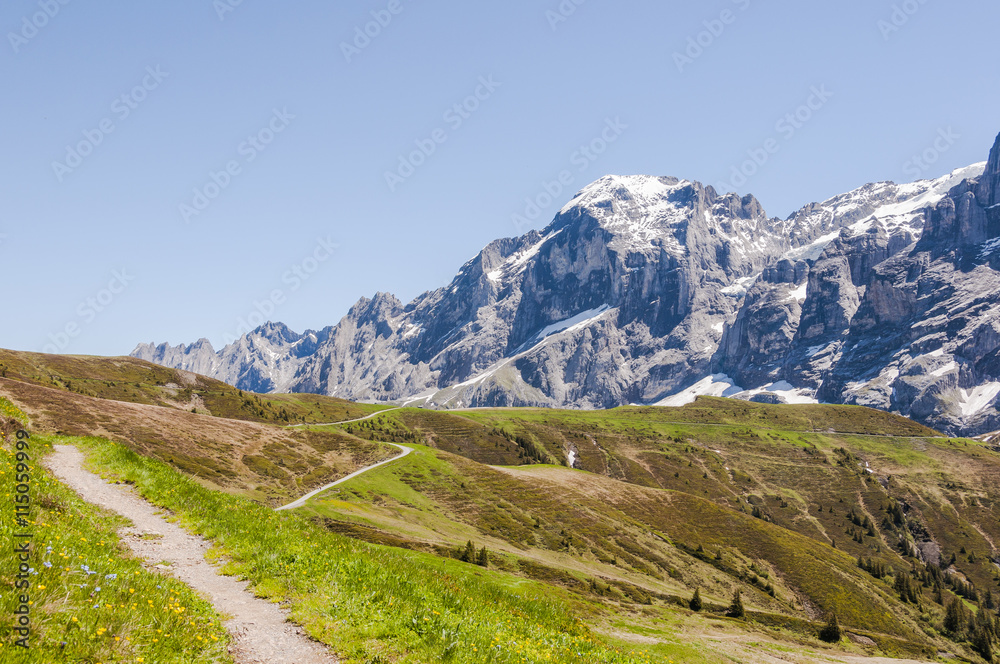Grindelwald, Berner Oberland, Engelhörner, Alpen, Grosse Scheidegg, Wanderweg, Höhenweg, Wanderferien, Sommer, Schweiz