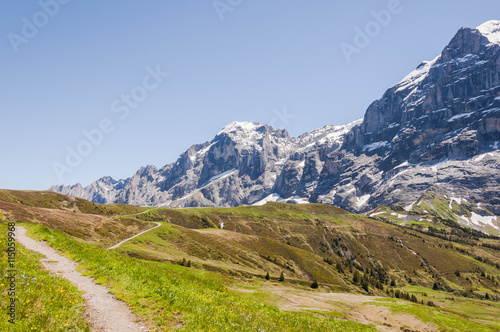 Grindelwald, Berner Oberland, Engelhörner, Wetterhorn, Grosse Scheidegg, Höhenweg, First, Alpen, Schweizer Berge, Sommer, Schweiz