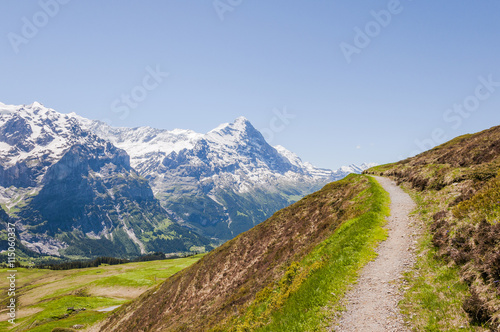 Grindelwald, Berner Oberland, Bergdorf, Eiger, Schreckhorn, Alpen, Wanderweg, First, Waldspitz, Sommer, Schweizer Berge, Schweiz 