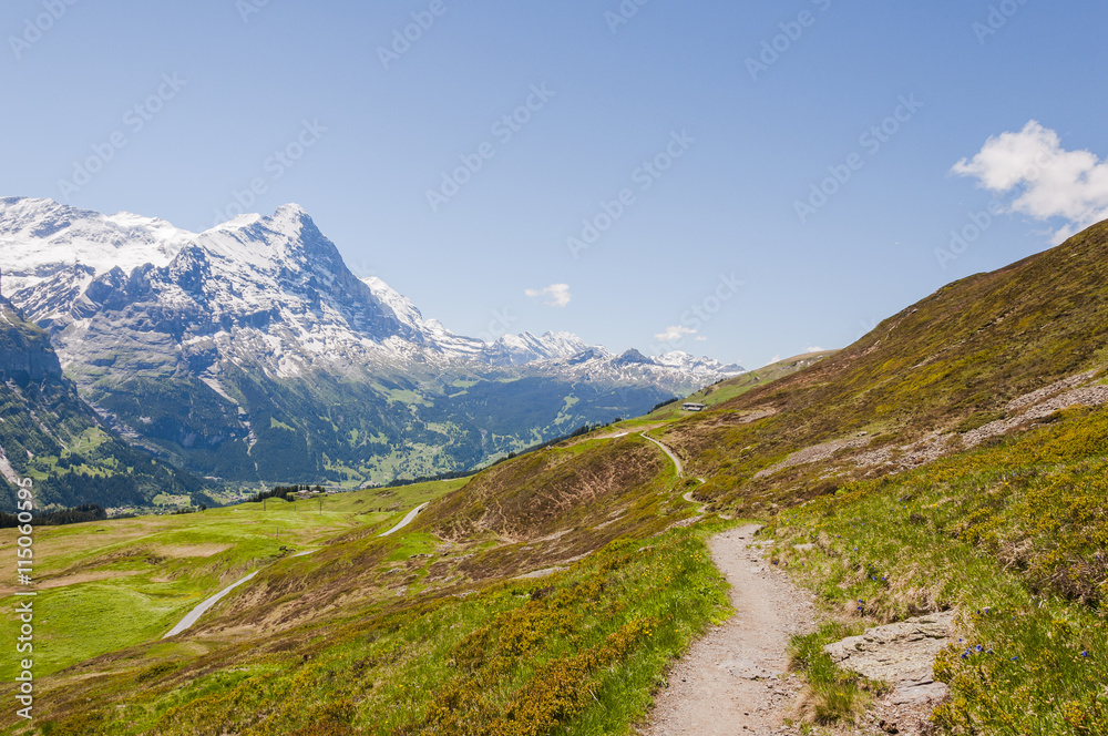 Grindelwald, Berner Oberland, Alpen, Eiger, Eigernordwand, Kleine Scheidegg, First, Wanderweg, Höhenweg, Sommer, Schweiz