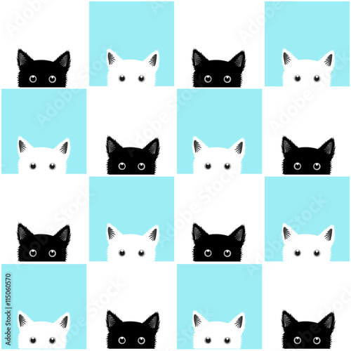 Black White Blue Cat Chess ...