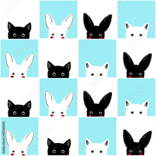 Black White Blue Cat Rabbit...