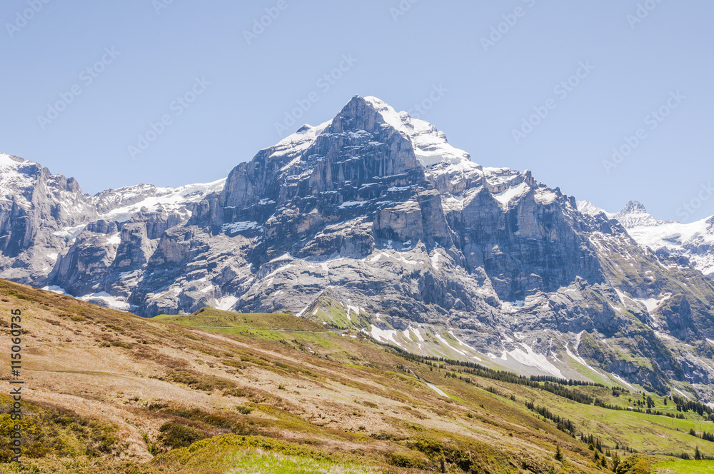 Grindelwald, Berner Oberland, Wetterhorn, Alpen, Grosse Scheidegg, Wanderweg, Höhenweg, Schweizer Berge, Sommer, Schweiz