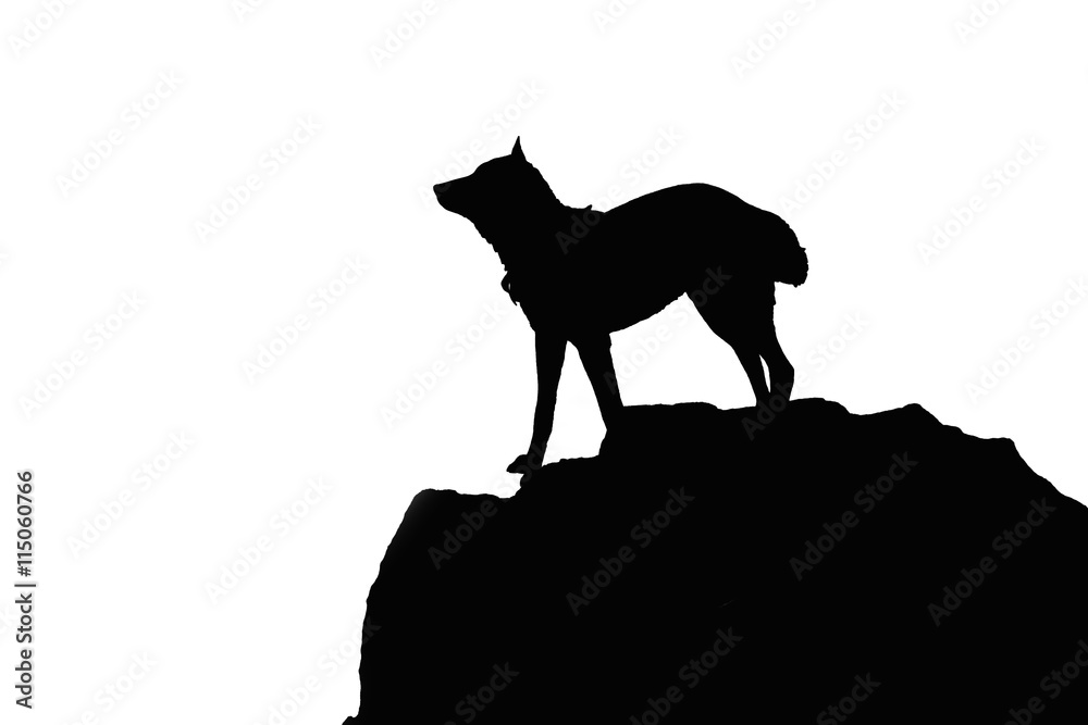Wolf profile. Wolf silhouette on a cliff black and white design isolated on white background Wolf profile. Wolf silhouette on a cliff black and white design isolated on white background