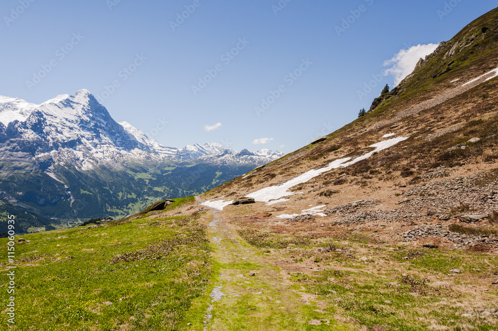 Grindelwald, Berner Oberland, Eiger, Eigernordwand, Alpen, Kleine Scheidegg, Wanderweg, Höhenweg, First, Grosse Scheidegg, Wanderferien, Sommer, Schweiz