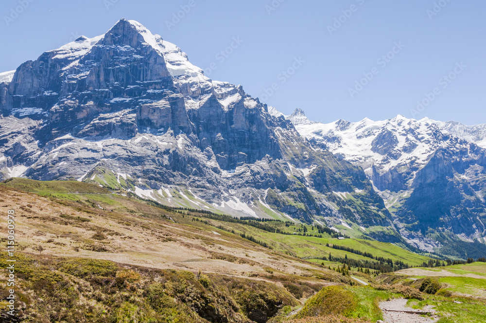 Grindelwald, Berner Oberland, Alpen, Wetterhorn, Grosse Scheidegg, Schreckhorn, Höhenweg, First, Sommer, Schweiz