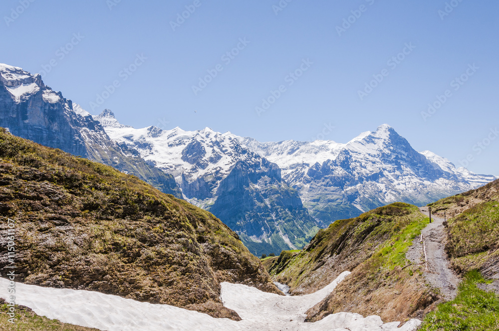 Grindelwald, Berner Oberland, Alpen, Eiger, Eigernordwand, Schreckhorn, First, Wanderweg, Grosse Scheidegg, Sommer, Schweiz