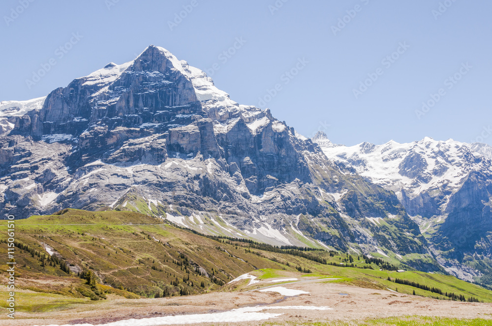 Grindelwald, Dorf, Berner Oberland, Wetterhorn, Grosse Scheidegg, Alpen, Grindelwaldgletscher, Gletscher, Schreckfeld, Wanderweg, Sommer, Schweiz