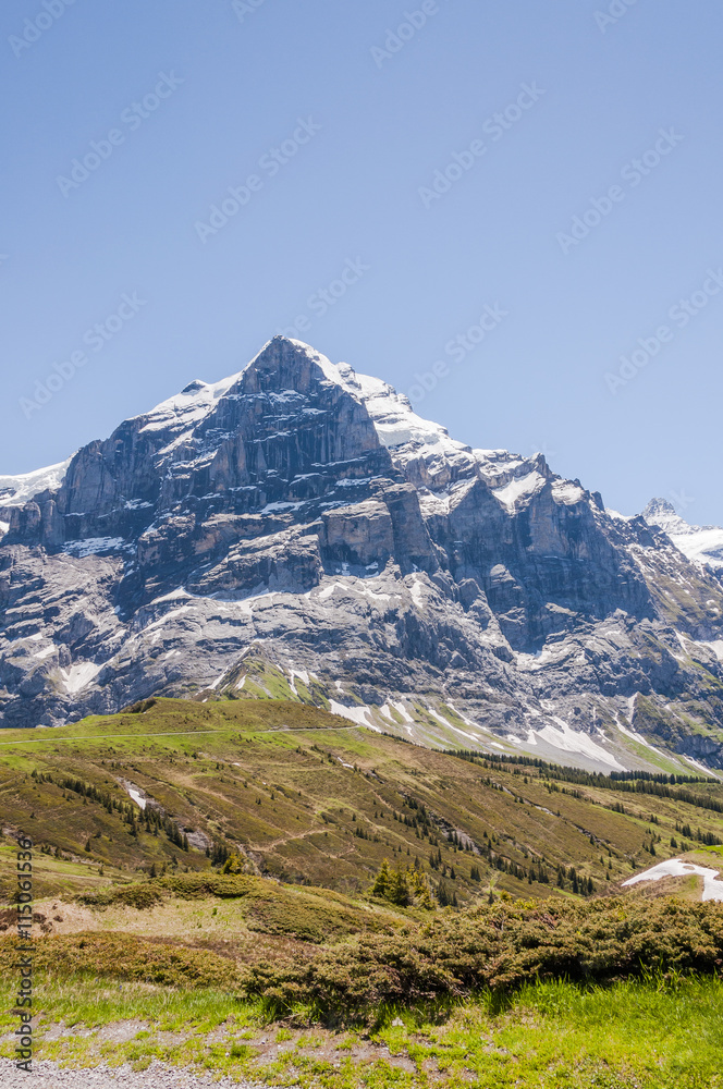 Grindelwald, Berner Oberland, Wetterhorn, Alpen, Schweizer Berge, Grosse Scheidegg, Wanderweg, Schweizer Berge, Sommer, Schweiz