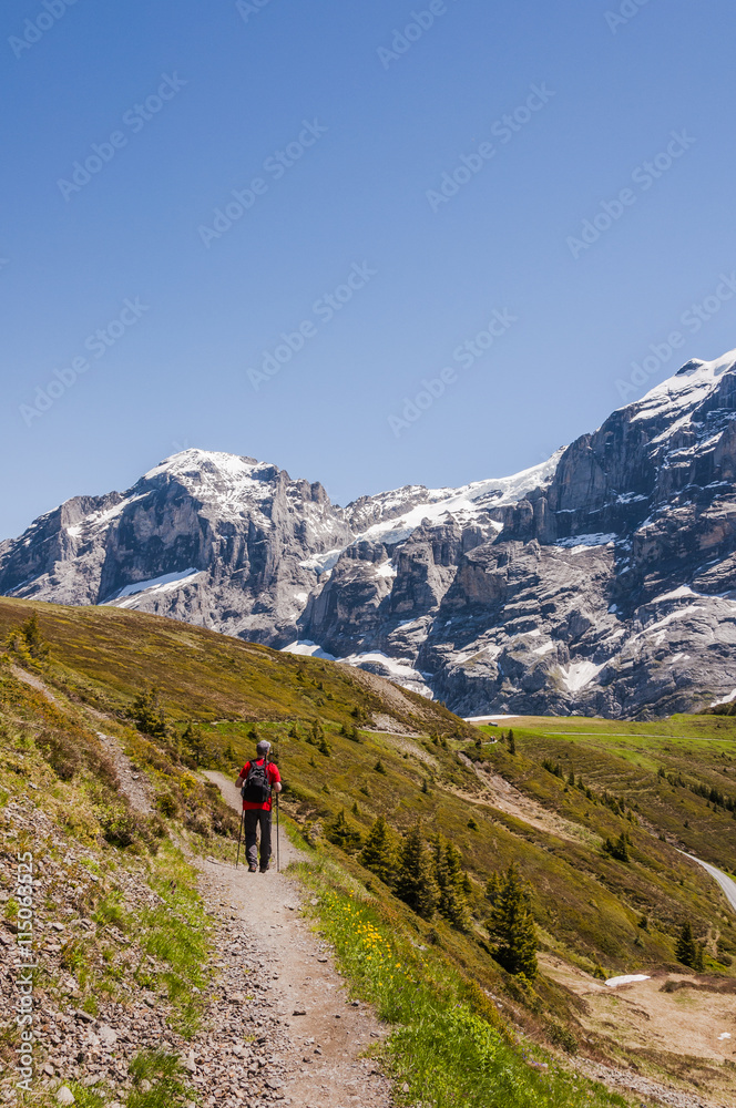 Grindelwald, Grosse Scheidegg, Engelhörner, Berner Oberland, Wetterhorn, Alpen, Schweizer Berge, Sommer, Schweiz